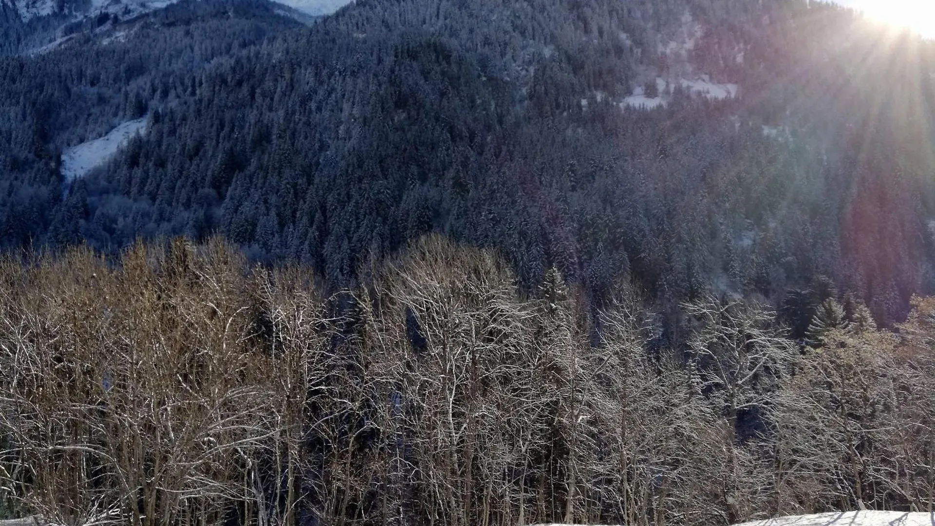 Apartment Appartement 10 Personnes Champagny-En-Vanoise, Parking, Animaux Admis, Balcon, Wifi - Fr-1-638-7 La Plagne